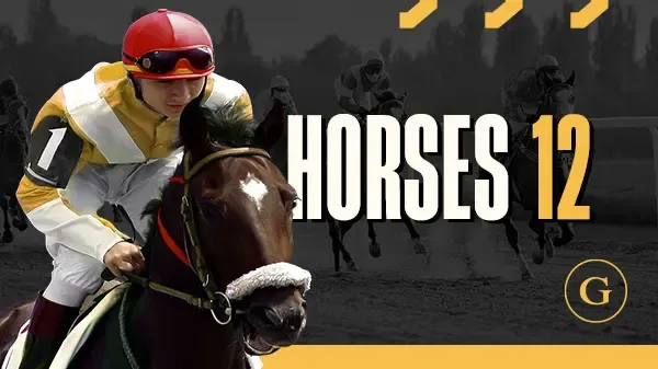 Horses 12 Flat Scheduled - WinPesa - Nigeria