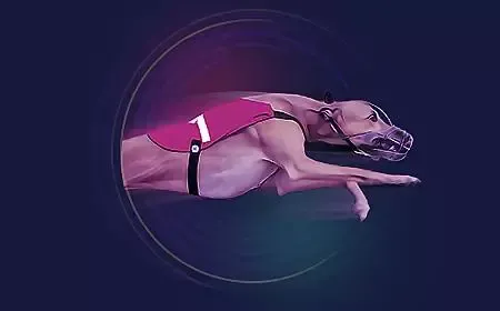 Greyhound Races - WinPesa - Nigeria