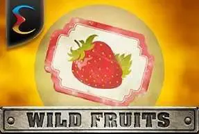 Wild Fruits - WinPesa - Nigeria