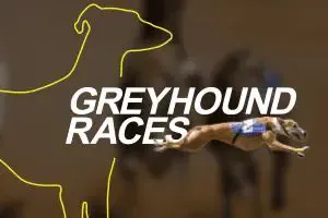 vDogs (Grayhound races) - WinPesa - Nigeria